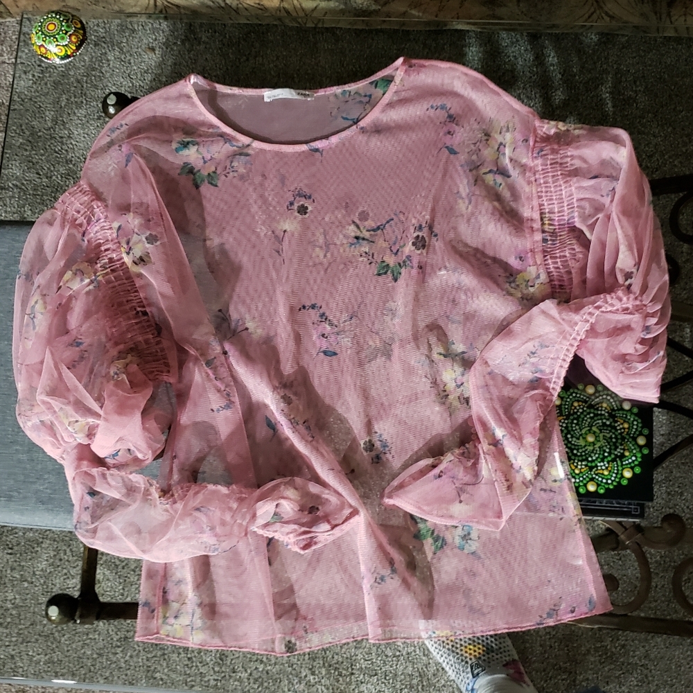 Zara sheer mesh bubble sleeve blouse.